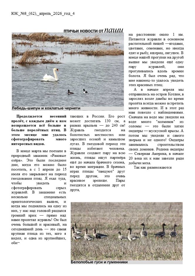 Слайд4